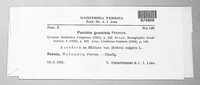 Puccinia graminis image